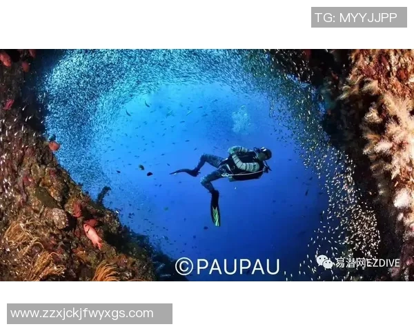 周芳独家揭秘极限运动的乐趣与挑战分享心得与技巧